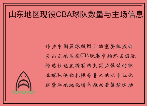 山东地区现役CBA球队数量与主场信息